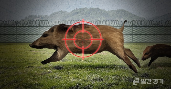 오는 18~22일 경기도내 시군 전역에서 아프리카돼지열병(ASF) 방지를 위한 야생멧돼지 일제포획이 실시된다. (사진=연합뉴스)