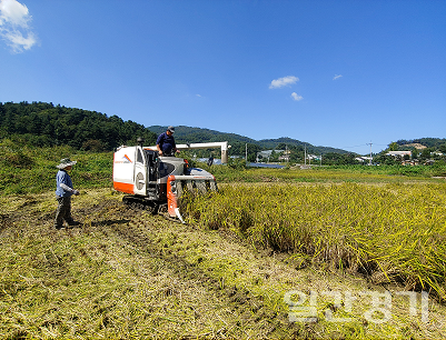 경기도는 2019년도 쌀 변동직불금으로 6만7천9곳의 농가, 5만6천89ha에 206억원을 지급할 예정이라고 26일 밝혔다. (사진=경기도)