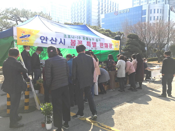 안산시는 20일까지 안산시청 광장에서 화훼농가의 활성화를 위해 ‘봄꽃 특별 판매장’을 운영한다.  (사진=안산시)