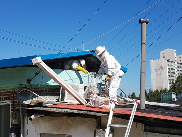 경기도의용소방대 생활안전전문대가 벌집제거를 제거하고 있다.(사진=경기도소방재난본부)