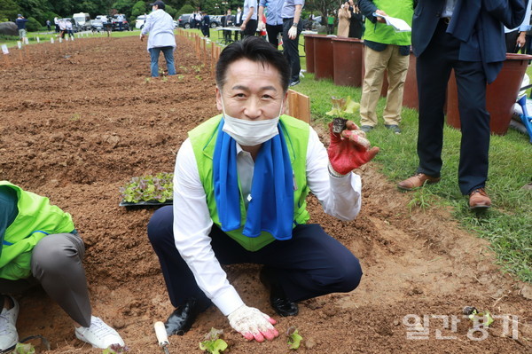 고영인 의원이 지난 28일 '국회 생생텃밭' 개장식에 참석해 감자 캐고 배추 씨앗을 심는 등 농업활동을 했다. (사진=고영인 의원사무실)