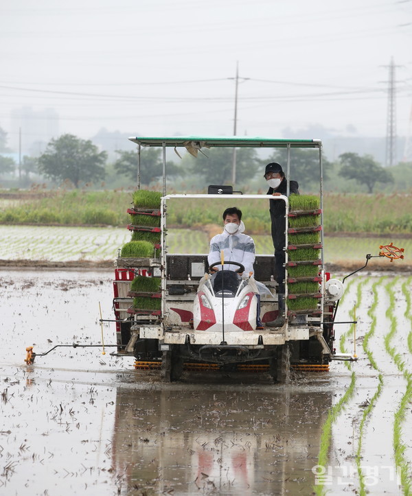 서철모 화성시장은 21일 장안면 독정리 일원 쌀 재배단지에서 열린 모내기 행사에 참석했다. (사진=화성시)