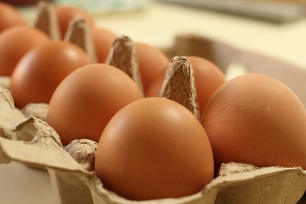 경기도는 8월4일 국민들이 안심하고 소비할 수 있도록 하절기인 5~8월 4개월간 계란 안전성 검사를 강화 추진하는 등 안전 먹거리 환경 조성에 박차를 가하고 있다고 밝혔다. (사진=일간경기DB)