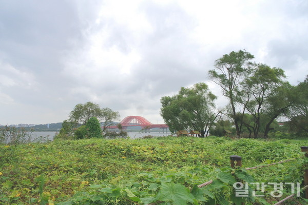 9월 한국관광공사가 선정한 '가을시즌 비대면 안심관광지 25선'에 대덕생태공원이 올랐다. 사진은 대덕생태공원 전경 (사진=고양시)