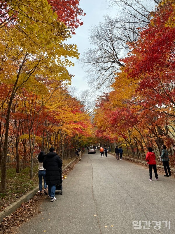 시월의 마지막 날인 10월31일 북한산 인근에서 시민들이 울긋불긋한 단풍길을 걸으며 아름다운 풍경을 즐기고 있다. (사진=김동현 기자)