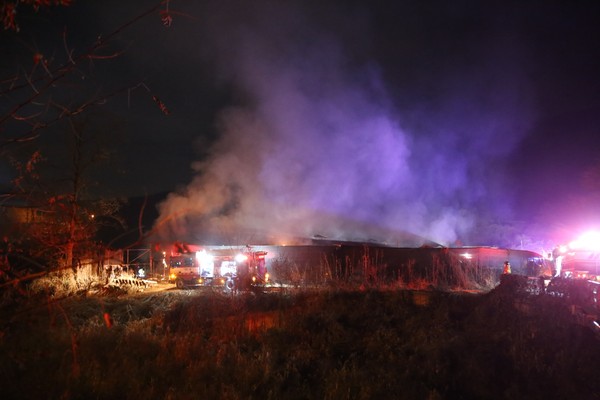 11월15일 밤 11시54분께 포천 이동면 노곡리에 있는 양계장에서 전기 관련 화재가 발생해 경량 철골조 양계장 2동이 전소되고 닭 300마리가 폐사했다. (사진=이재학 기자)