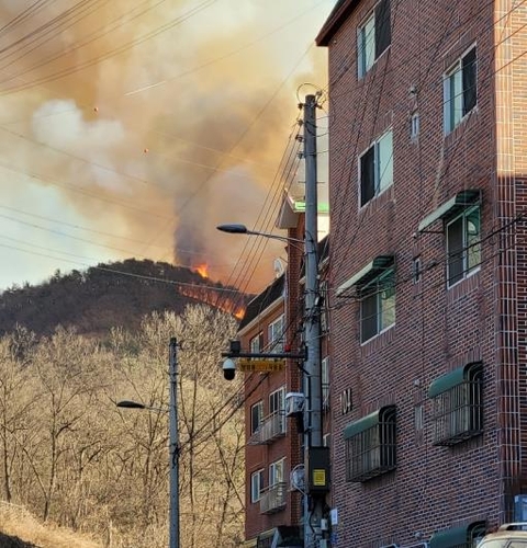 안산시 상록구 일대 야산에서 발생한 불. (사진=연합뉴스)