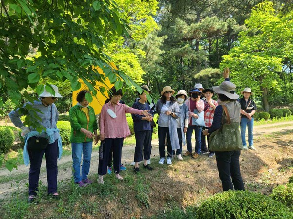 수원시가 오는 11월까지 월별로 무료로 진행되는 ‘서울대학교 수원수목원 숲해설 프로그램’에 참여할 시민을 모집한다. 월~금요일 오전 10시부터 오후 4시30분까지 1일 4회 사전 예약제로 운영하며, 1회당 2시간이 소요된다. 월요일 오후와 주말·공휴일은 프로그램을 운영하지 않는다. (사진=수원시)