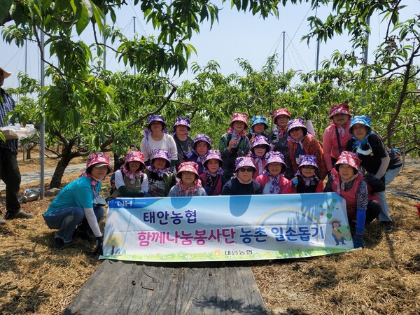 태안농협 주부봉사단은 17~18일 농촌일손돕기 봉사활동을 펼쳤다. (사진=태안농협)