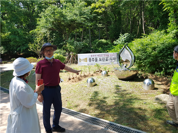 김포시가 장기동 금빛근린공원 내 옹주 기념물 주변에 모란꽃을 심어 옹주물 알리기에 나섰다. 