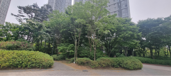 수원시가 공원 관리비를 줄이고, 생태성은 높일 수 있는 &lsquo;지속가능한 저관리형 도시공원 숲&rsquo; 도입을 추진한다.&nbsp;&lsquo;지속가능한 저관리형 도시공원&rsquo;은 다층구조 숲 형태로 조성해 생태성은 높이고, 유지관리 비용은 줄일 수 있는 공원이다. (사진=수원시)