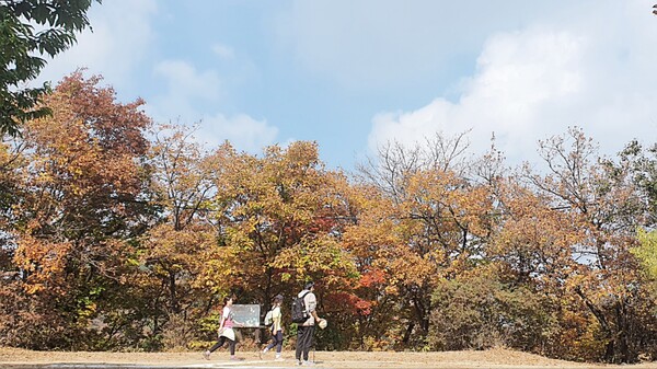 10월 23일 수원 광교산에서 시민들이 단풍산행을 즐기고 있다. 단풍이 시작된 이날 국립공원을 비롯해 수원 광교산, 과천 청계산 등에는 등산객들이 쉴 새 없이 찾아들었다. (사진=김희열 기자)