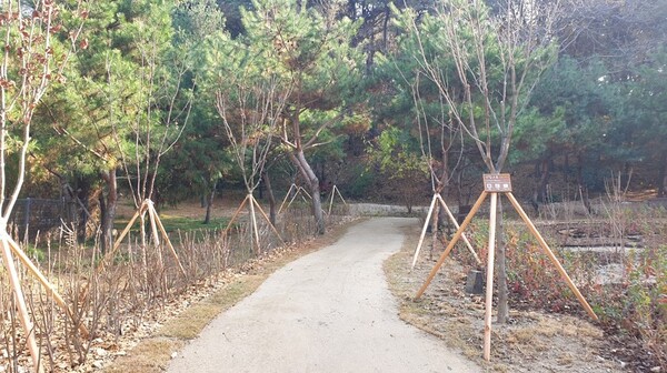 사진1~3) 숙지공원 일부가 생태숲으로 준공된 모습