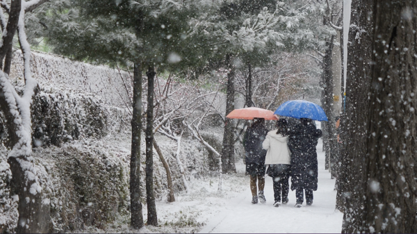 폭설이 쏟아진 12월15일 인천시 부평구의 한 대로변에서 눈 쌓인 거리를 시민들이 걷고 있다. 이날 수도권에는 최대 8cm의 눈이 내릴 것으로 예측되고 있다. (사진=김상민 기자)