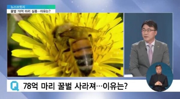 인천대학교 매개곤충자원융복합연구센터가 2023년~2026년까지 1단계로 진행되는 꿀벌 강건성 과제 일부를 수주했다. 사진은 권형욱 교수. (사진=인천대)