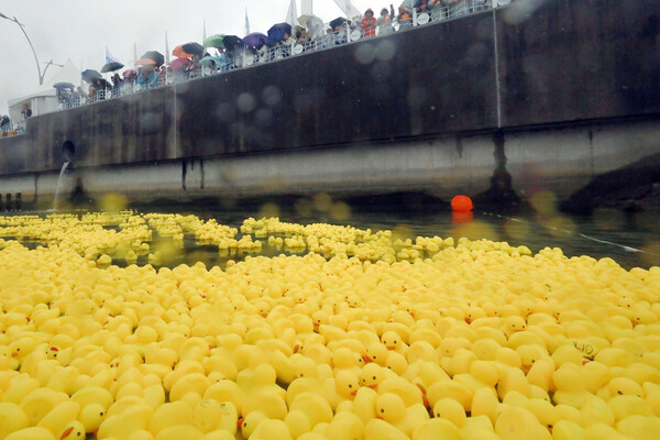 5월27일과 28일 이틀간 열린&nbsp;김포 아라마린페스티벌에&nbsp;비가 내리는 궂은 날씨에도 불구하고 1만여 명이 다녀간 것으로 집계됐다. (사진=김포시)