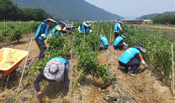 한국농어촌공사는 수해 피해가 발생한 농어촌 지역을 중심으로 복구 활동을 전개하고 있다.