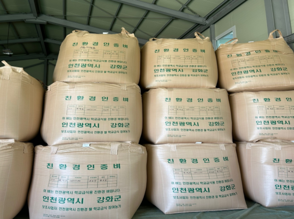 인천시는 11월10일 2024년 친환경 쌀 3479톤을 751개 학교에 공급한다고 밝혔다. 인천 학교급식에 공급하는 친환경 인증벼. (사진=인천시)