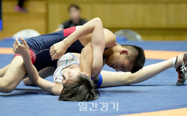 28일 함평문화센터에서 열린 제53회 전국소년체육대회 레슬링 15세이하 자유형51kg급 예선경기 김도윤(산곡중. 3) 선수가 울산 진형준(울산스포츠과학중. 2)를 상대로 메달 레이스를 향한 접전을 펼치고 있다. (사진=한동헌 기자)