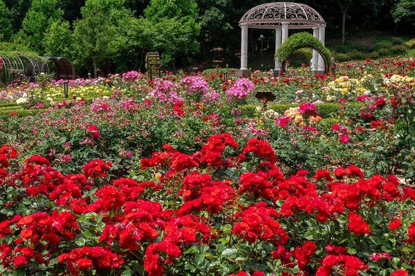 장미근린공원 전경. (사진=인천시)