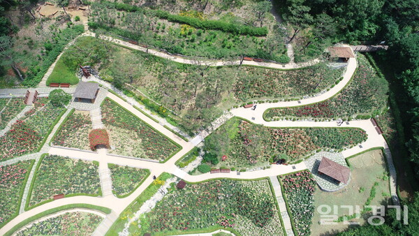 계양산장미원 전경. (사진=일간경기DB)