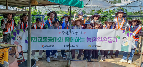 인천교통공사는 20일 인천시 서구 관내 포도농가를 찾아 도농상생을 위한 농촌일손돕기 활동을 펼쳤다.(사진=인천교통공사)