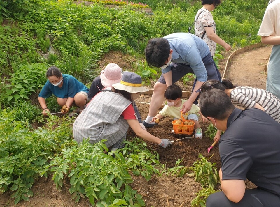 인천시 미추홀구가 여름방학을 맞이해 지역 내 주민이 가족 단위로 도시농업을 체험해 볼 수 있는 가족 텃밭 나들이를 진행한다.(사진=인천 미추홀구)