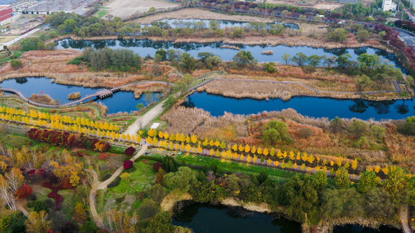 수도권매립지관리공사는 드림파크 야생화단지가 산림청 주관 ‘아름다운 도시 숲 50선’에 선정됐다. 사진은 야생화단지 습지 산책로(사진=SL공사)