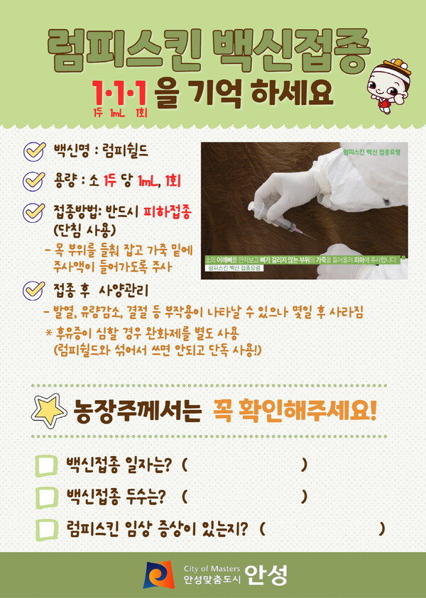 안성시가 럼피스킨 백신 자가 접종 농가를 위해 농가 실정에 맞게 자체 제작한 정확한 럼피스킨 백신 접종요령을 일제히 배포했다. (사진=안성시)