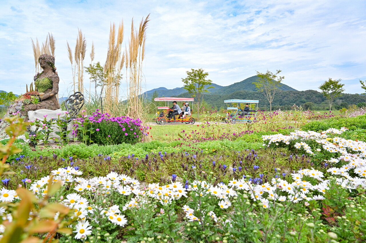 유네스코 지정 한탄강 세계지질공원에서 가을맞이 가든 투어 및 반려견 놀이터 등 여러 행사를 실시한다. (사진=포천시)