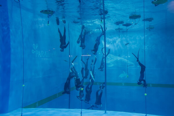 시흥시장배 아이다 프리다이빙 수심대회 성료 < 서부권 < 경인 메트로 < 기사본문 - 일간경기