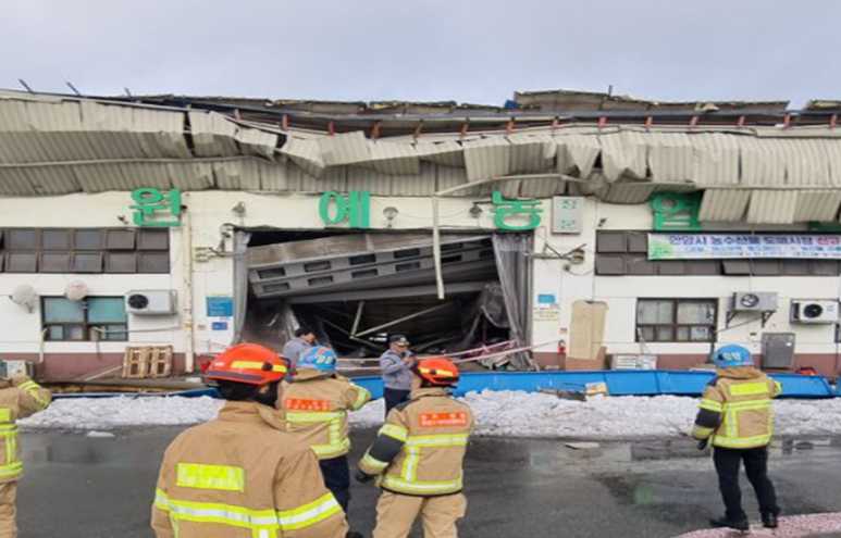 안양 평촌동에서는 낮 12시6분께 농수산물도매시장 청과동의 샌드위치 판넬 지붕이 무너졌다. (사진=경기소방재난본부)