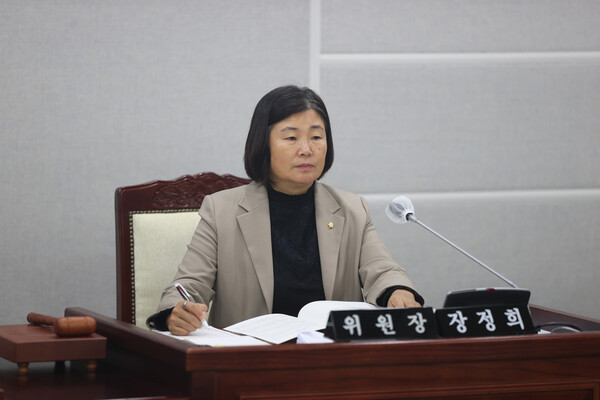 수원시의회 기획경제위원회는 11월26일 수원시 기업유치단에 대한 행정사무감사를 실시하고 수원시의 기업 유치 실적과 향후 전략을 점검했다. (사진=수원시의회)