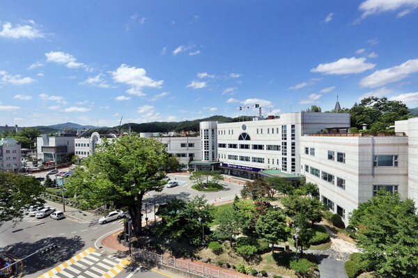 가평군이 최근 경기도 출자·출연기관운영심의위원회로부터 가평군 인재육성재단 설립 협의와 관련, ‘설립 동의’를 받았다. (사진=가평군)