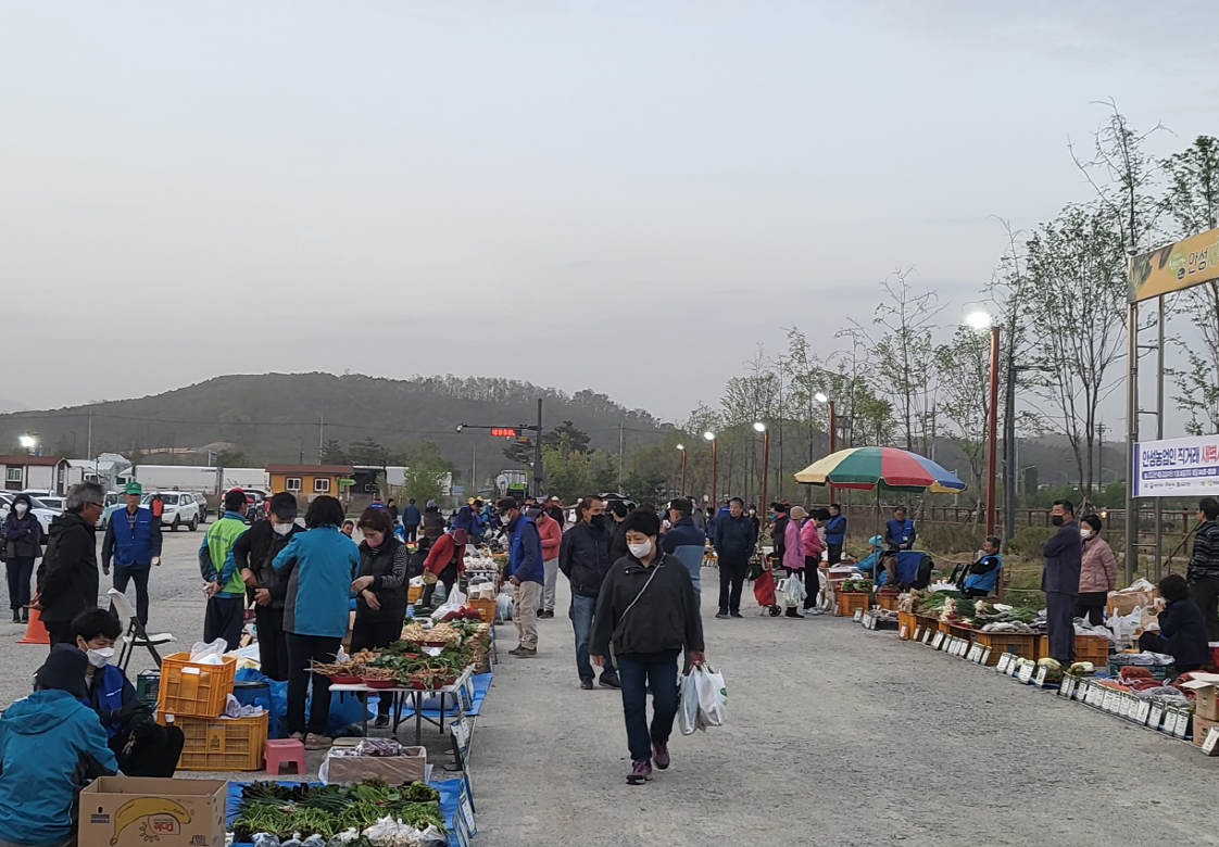 올겨울 지속된 한파와 폭설로 안성지역 농가들이 큰 피해를 입으면서 안성농업인 직거래장터 3개소의 개장이 2주 연기됐다. (사진=안성시)