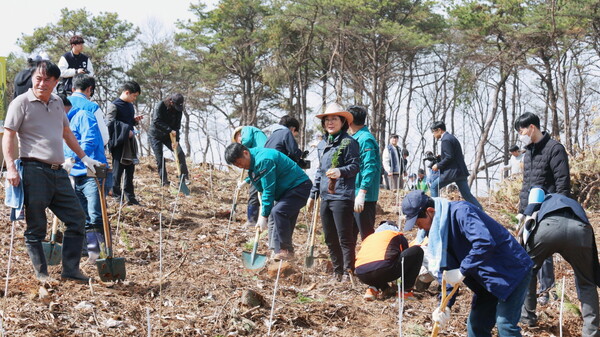 안성시는 제80회 식목일을 맞아 3월26일 공도읍 양기리 일원 1.70ha(약 5152평) 부지에 나무심기 행사를 진행했다. (사진=안성시)