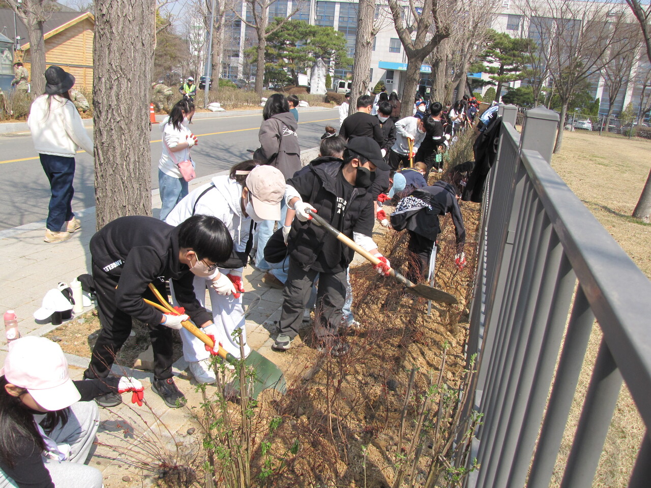평택시는 제80회 식목일을 맞아 4월1일 농업생태원 인근에서 대규모 나무심기 행사를 열었다. (사진=평택시)