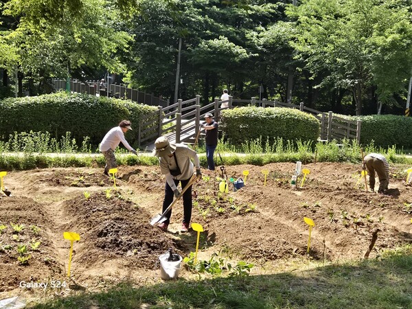 고양특례시가 암생존자의 심리 회복을 위한 치유농업 프로그램을 진행한다.