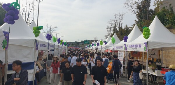 ‘2025 안성맞춤 포도축제’가 오는 9월 26일부터 28일까지 3일간 서운면 양촌리 480번지 일원에서 개최된다. (사진=안성시)