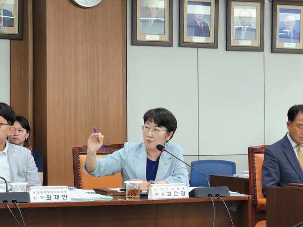 경기도의회 경제노동위원회 고은정(더불어민주당, 고양10) 위원장은 6월30일 경상남도의회에서 열린 ‘대한민국시도의회의장협의회 지방의회 정책지원 전문성 강화 특별위원회 제2차 정기회’에 참석해, 지방의회 정책지원관 제도의 현실적 안착을 위한 유형별 시범사업 도입을 제안했다. (사진=경기도의회)
