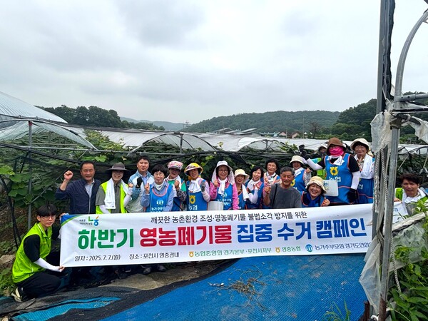 7월7일 농협중앙회 경기본부는 포천시 영중면에서는 (사)농가주부모임경기도연합회와 함께 포도 농가를 대상으로 봉지 씌우기 일손돕기 활동을 실시했다.