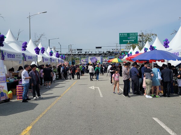 안성시 포도가 2025년 경기도 포도·복숭아 품평회에서 최고 품질을 인정받았다. (사진=안성시)