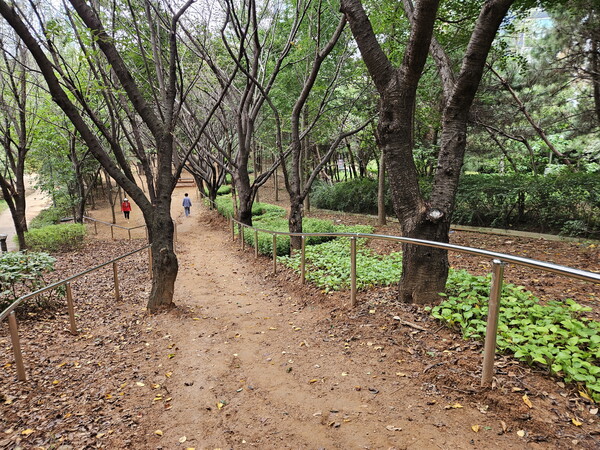 인천시 남동구는 구월동 1501번지 일원 전재울근린공원의 맨발산책로 정비사업을 완료했다. (사진=남동구)