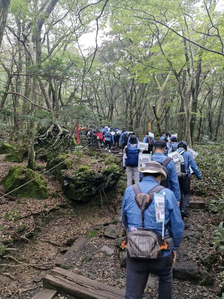 안성시는 10월21일 발달장애인 20명과 보호자, 봉사자 등 총 50명이 참여한 가운데 &#39;2025 발달장애인 한라산 등반 프로젝트&#39;를 성공적으로 마쳤다고 밝혔다. (사진=안성시)