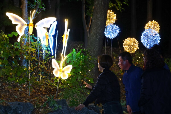 인천 남동구가 도림동 630-2번지 일원에 약 200m 길이의 빛의 거리를 조성하고, 이를 기념해 오봉근린공원에서 문화공연을 개최했다. (사진=남동구)