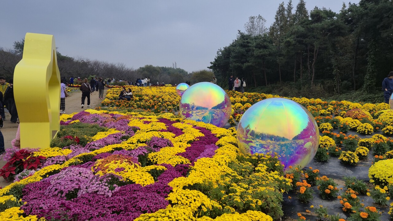 수도권매립지관리공사가 지역사회와의 상생협력을 다지는 의미 있는 행사들을 성황리에 마쳤다. 사진은 드림파크 국화축제 장면(사진=Sl공사)