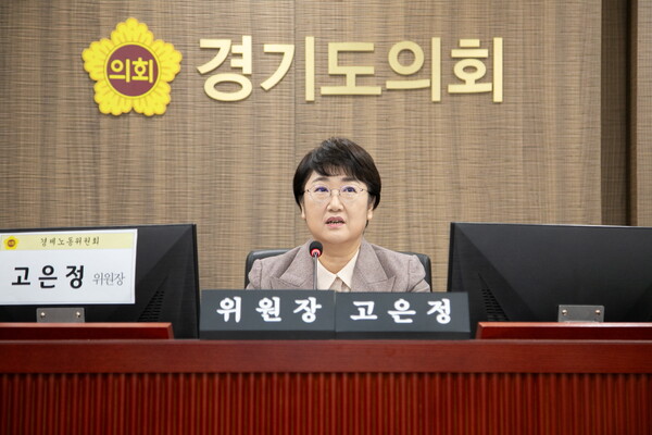 경기도의회 경제노동위원회는 11월 13일 경기도 경제실과 경기경제자유구역청을 대상으로 행정사무감사를 실시했다. (사진=경기도의회)