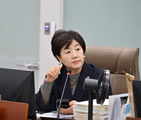 황진희 경기도의회 의원이 11월21일 교육행정위원회 예산심사에서 발언하고 있다. (사진=경기도의회)