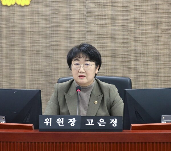 고은정 경기도의회 의원이 11월21일 경제노동위원회 경제실 소관 2026년 경기도 예산안 심사에서 발언하고 있다. (사진=경기도의회)