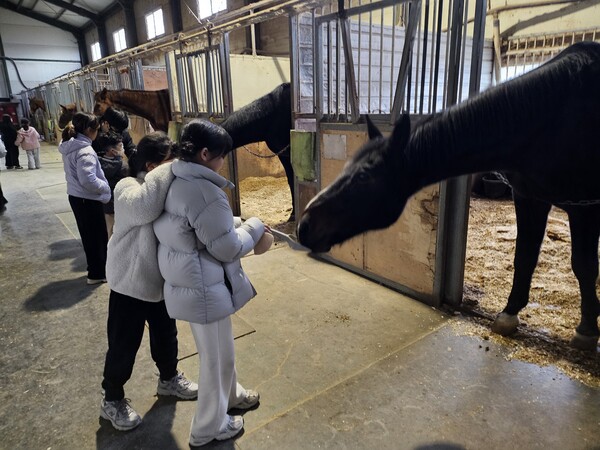 김포시가 운영하는 특화돌봄센터가 현장 중심 체험학습으로 초등학생과 학부모 사이에서 큰 인기를 얻고 있다. (사진=김포시)